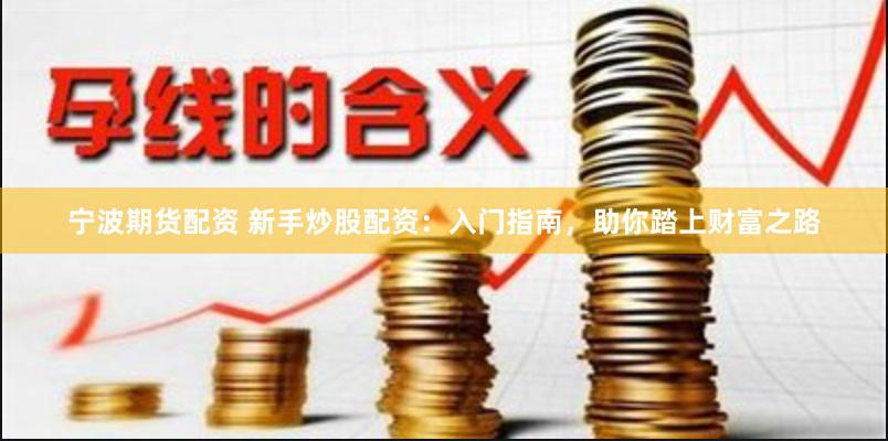 宁波期货配资 新手炒股配资：入门指南，助你踏上财富之路