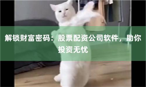 解锁财富密码：股票配资公司软件，助你投资无忧