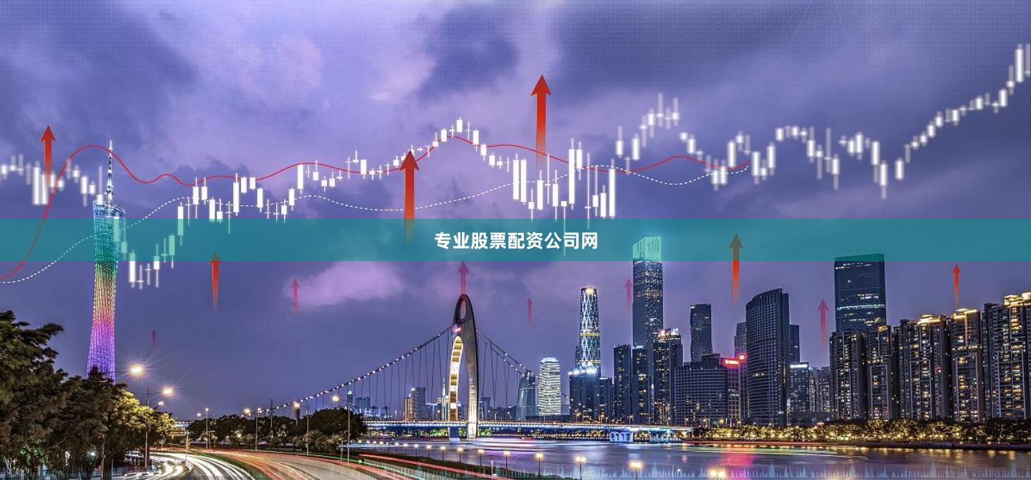 专业股票配资公司网
