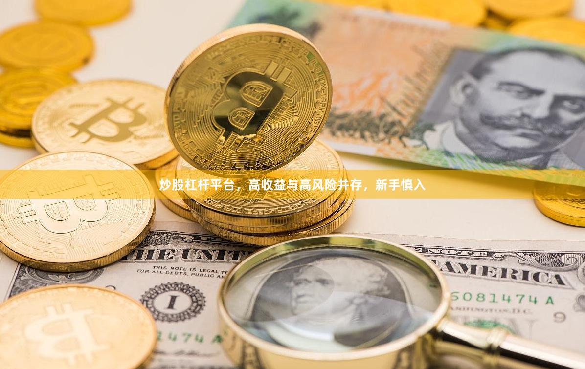 炒股杠杆平台，高收益与高风险并存，新手慎入