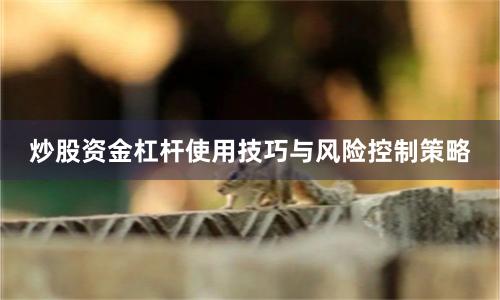 炒股资金杠杆使用技巧与风险控制策略
