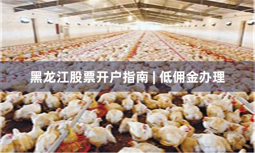 黑龙江股票开户指南 | 低佣金办理